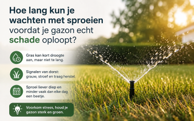 Hoe lang kun je wachten met sproeien voordat je gazon echt schade oploopt?