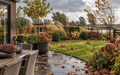 Tuin beschermen tegen herfstwind en schade aan planten voorkomen